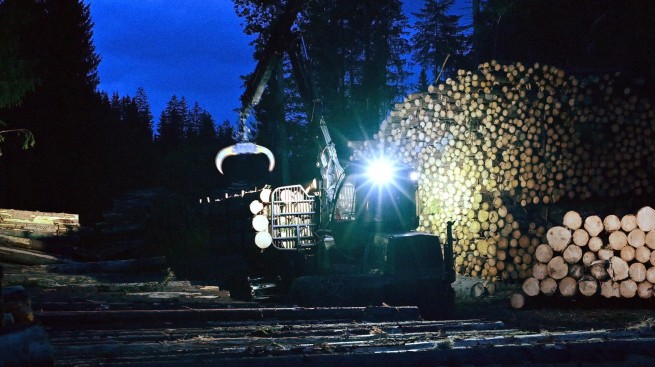 Hlas lesa, réžia Zuzana Piussi. Foto: Filmtopia