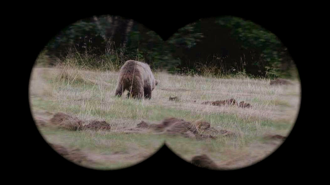 Záber z televíznej série Lebo medveď režiséra Mira Rema. FOTO: TV Markíza