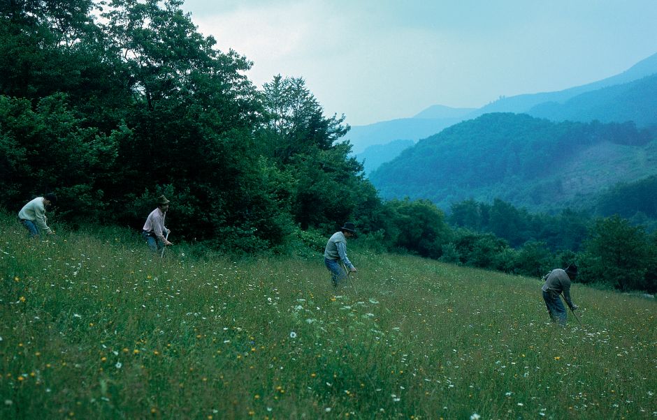 Záber z filmu Kosenie jastrabej lúky režiséra Štefana Uhra. Foto: SFÚ