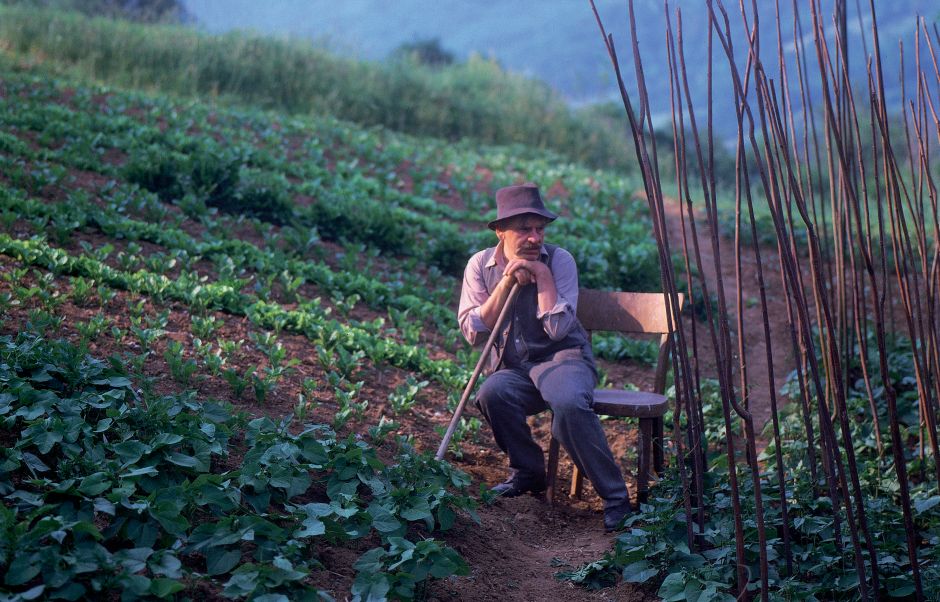 Jozef Kroner vo filme Kosenie jastrabej lúky. Foto: SFÚ