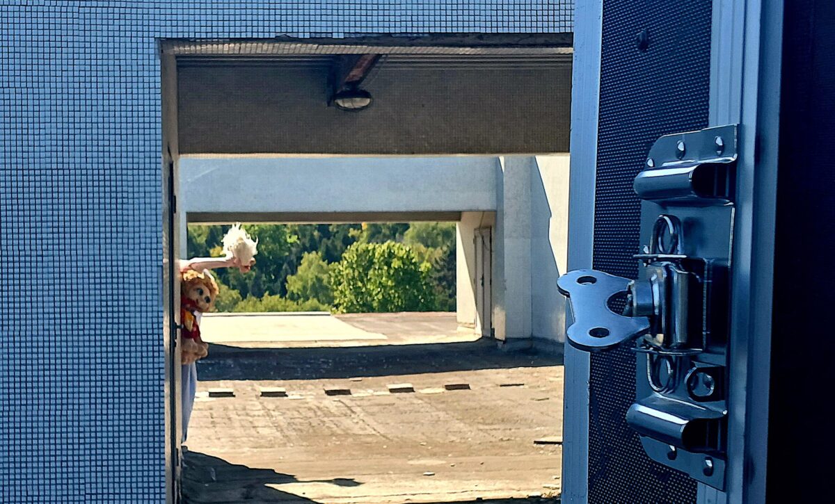 Tajomné bytosti sa musia zakrádať do verejnoprávnej ustanovizne po streche. Foto: Autorka