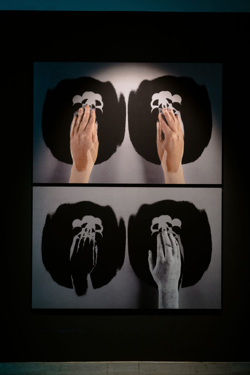 Milota Z tvorby Miloty Havránkovej. Foto: FURIA FILM/Milota Havránková