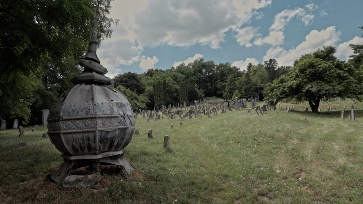 recenzia Posledný Hebrej z Hlohovca Záber z filmu Posledný Hebrej z Hlohovca. Foto: Filmtopia